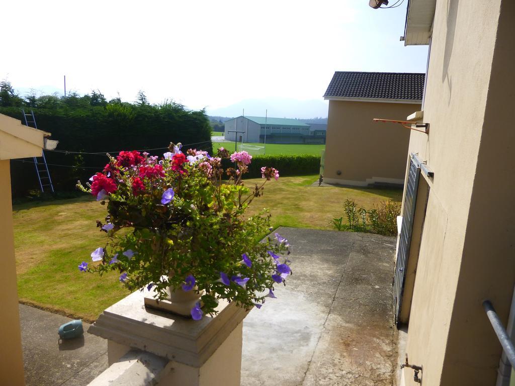 Bed and Breakfast Reeks View Teernaboul Exteriér fotografie